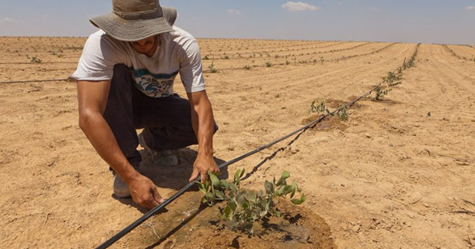 Desertification Day 2019 